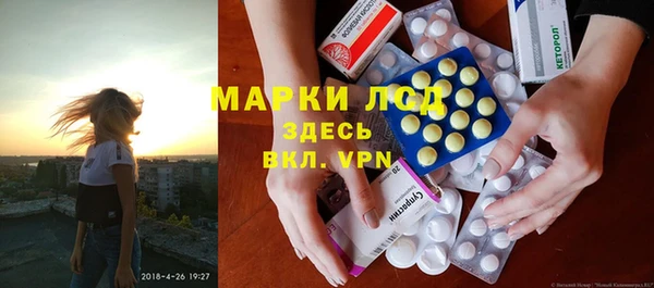 трава Аркадак