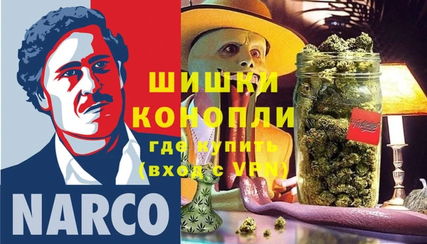 трава Аркадак