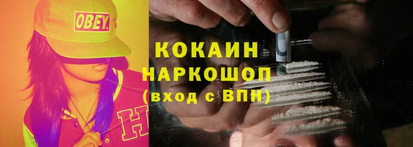 трава Аркадак