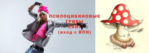 трава Аркадак