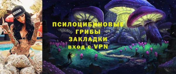 трава Аркадак